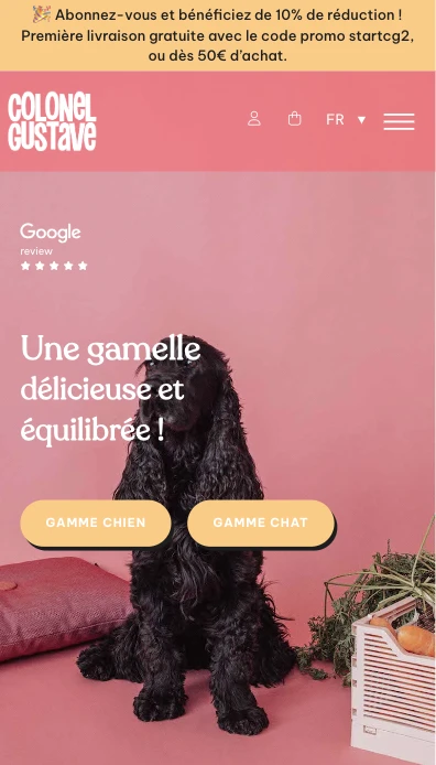 Screenshot of the Colonel Gustave website on mobile